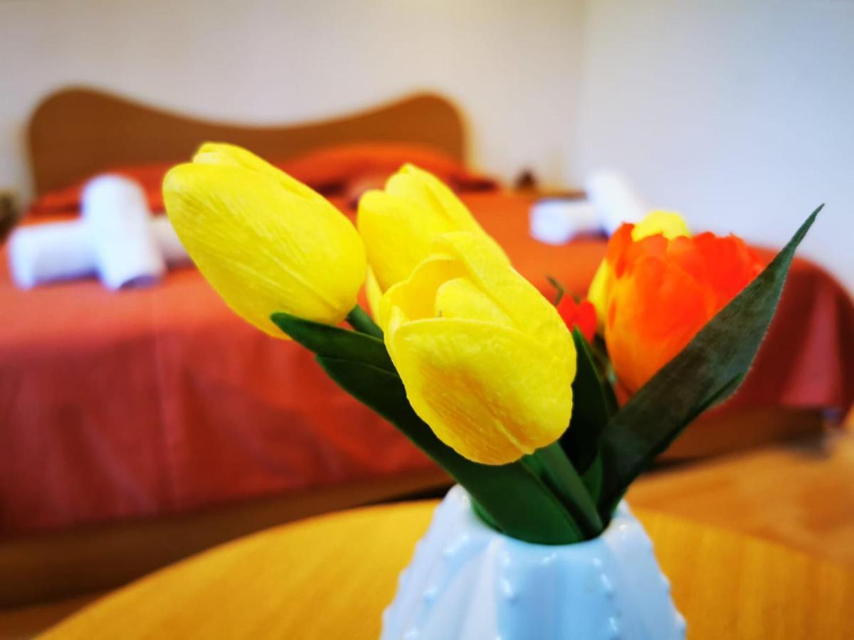 Apartamente Vila Arcadia Eforie Nord Eksteriør billede